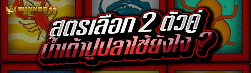 สูตรเลือก 2 ตัวคู่ น้ำเต้าปูปลาใช้ยังไง ?