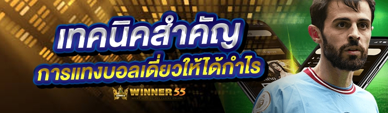 เทคนิคสำคัญ การแทงบอลเดี่ยวให้ได้กำไร