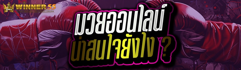 มวยออนไลน์ น่าสนใจยังไง ?