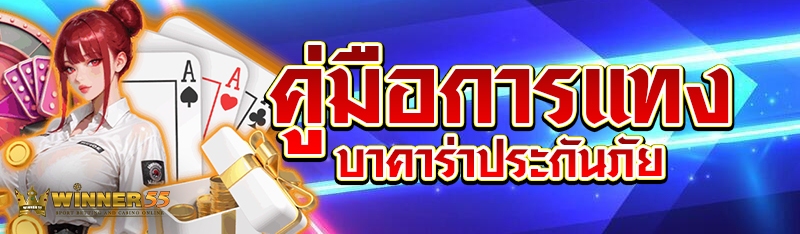 คู่มือการแทงบาคาร่าประกันภัย