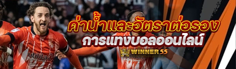 ค่าน้ำและอัตราต่อรอง การแทงบอลออนไลน์