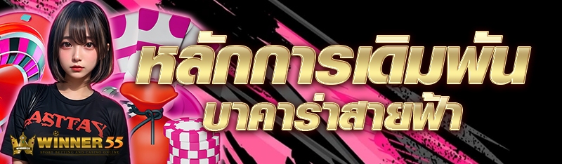 หลักการเดิมพันบาคาร่าสายฟ้า ให้ได้กำไร