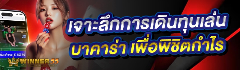 เจาะลึกการเดินทุนเล่นบาคาร่า เพื่อพิชิตกำไร