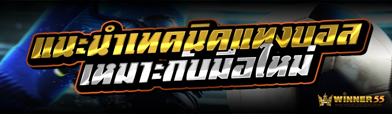 เว็บคาสิโนคุณภาพ จ่ายกำไรดีเกินต้าน
