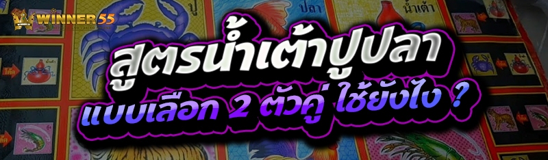 สูตรน้ำเต้าปูปลา แบบเลือก 2 ตัวคู่ ใช้ยังไง ?