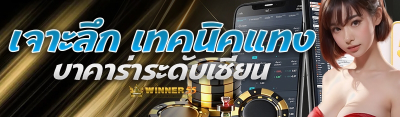 เจาะลึก เทคนิคแทงบาคาร่าระดับเซียน